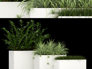 Plants collection 186 Modello 3D