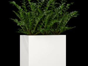 Plants collection 186 3D Model