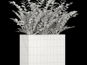 Plants collection 186 3D Model