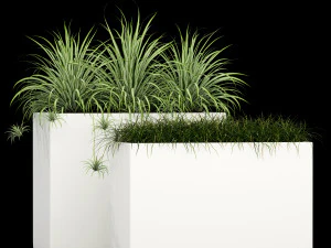 Plants collection 186 3D Model