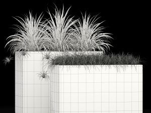 Plants collection 186 3D मॉडल