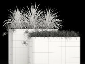 Plants collection 186 3D Model