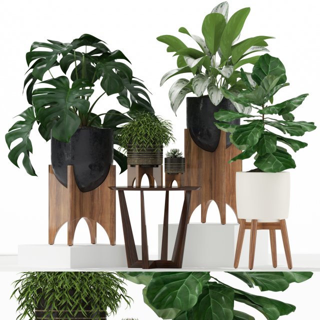Plants collection 187 3D Model .c4d .max .obj .3ds .fbx .stl .blend 