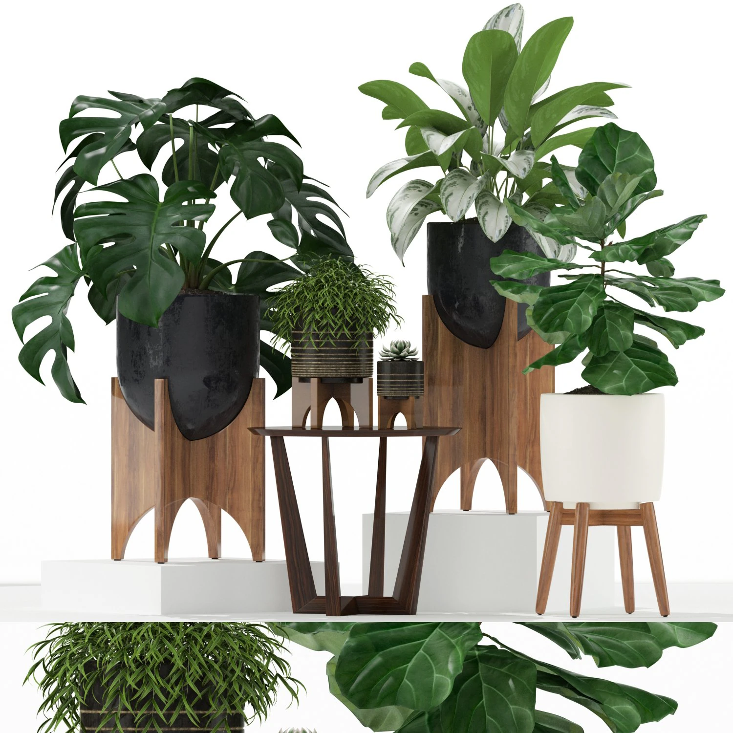 Plants collection 187 3D Model .c4d .max .obj .3ds .fbx .stl .blend 