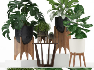 Plants collection 187 3D 모델