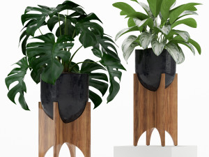 Plants collection 187 3D Model