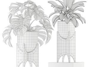 Plants collection 187 3D Model