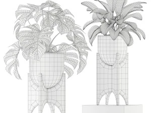 Plants collection 187 3D Model