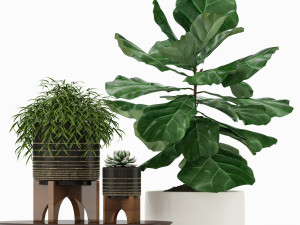 Plants collection 187 3D Model