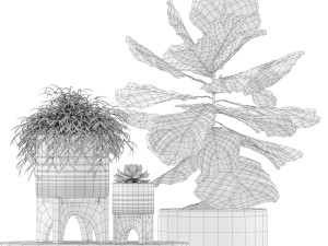 Plants collection 187 3D Model