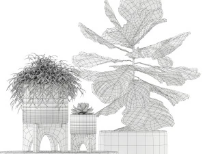 Plants collection 187 3D Model