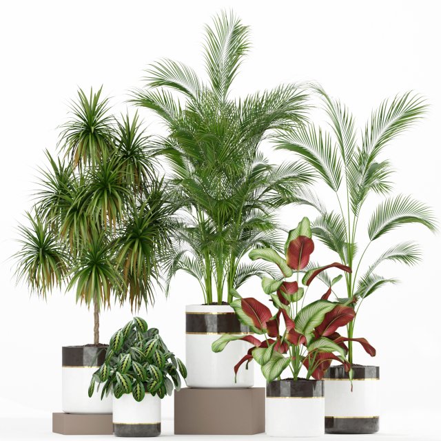 Plants collection 188 3Dモデル .c4d .max .obj .3ds .fbx .stl .blend 