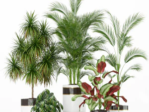 植物コレクション 188 3Dモデル