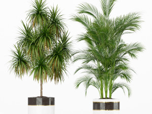 Plants collection 188 3Dモデル