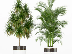 Plants collection 188 3D Model