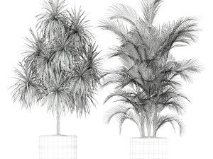 Plants collection 188 3Dモデル