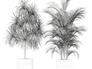 Plants collection 188 3D Model