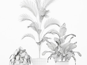 Plants collection 188 3Dモデル