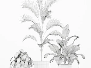 Plants collection 188 3D Model
