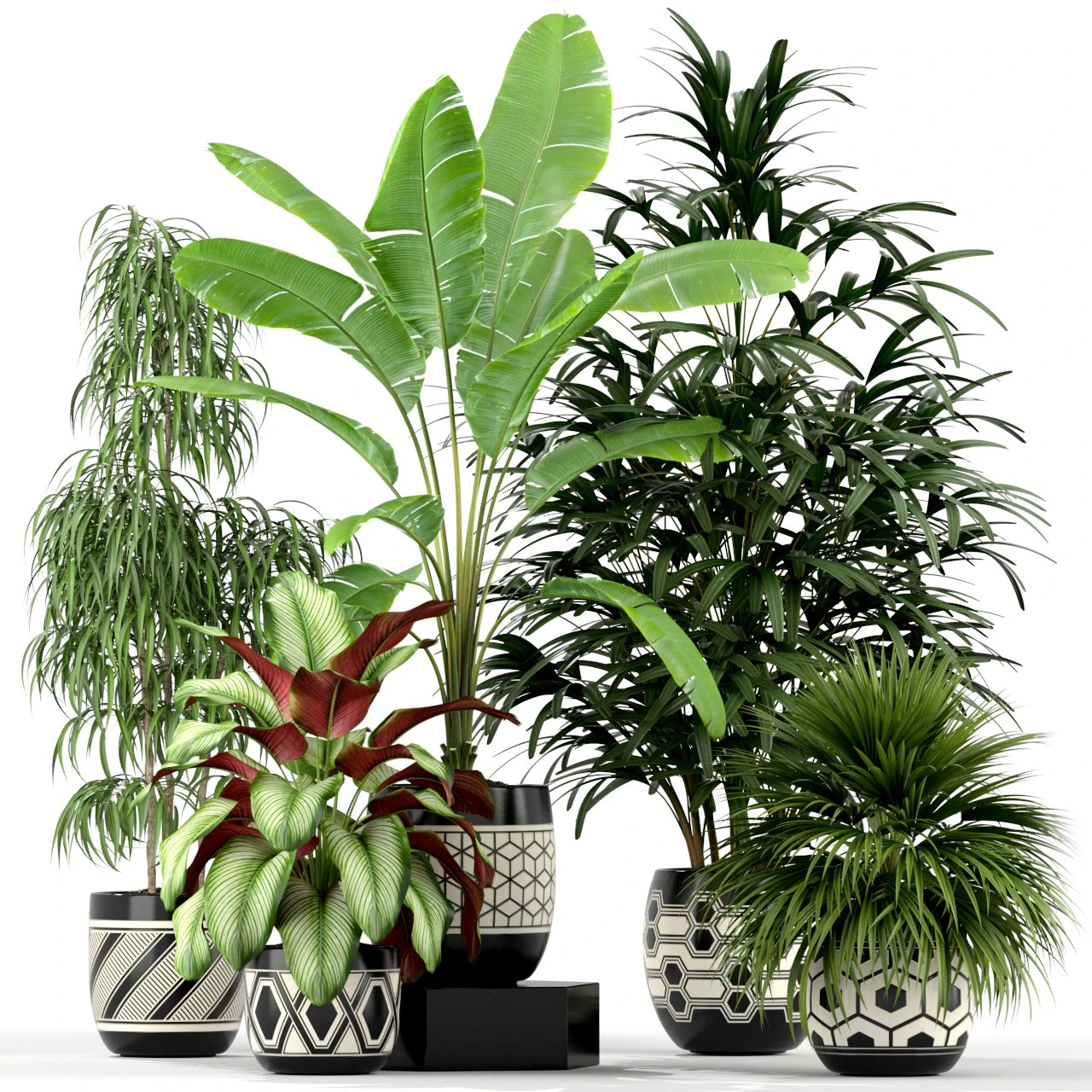 Plants collection 189 3D Model .c4d .max .obj .3ds .fbx .stl .blend 