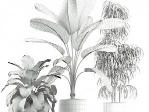 Plants collection 189 3D Model