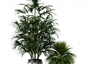 Plants collection 189 3D Model