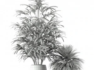 Plants collection 189 3D Model