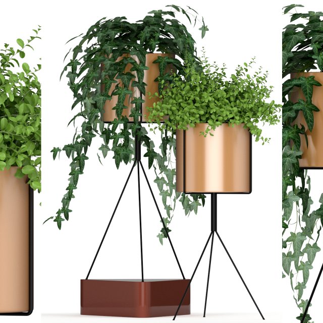 Plants collection 190 3D Model .c4d .max .obj .3ds .fbx .stl .blend 