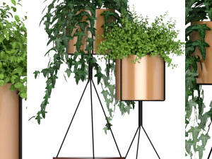 植物コレクション 190 3Dモデル