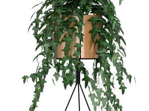 Plants collection 190 3D Model