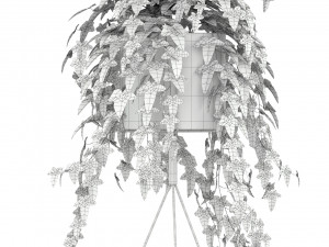 Plants collection 190 3D Model