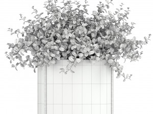 Plants collection 190 3D Model