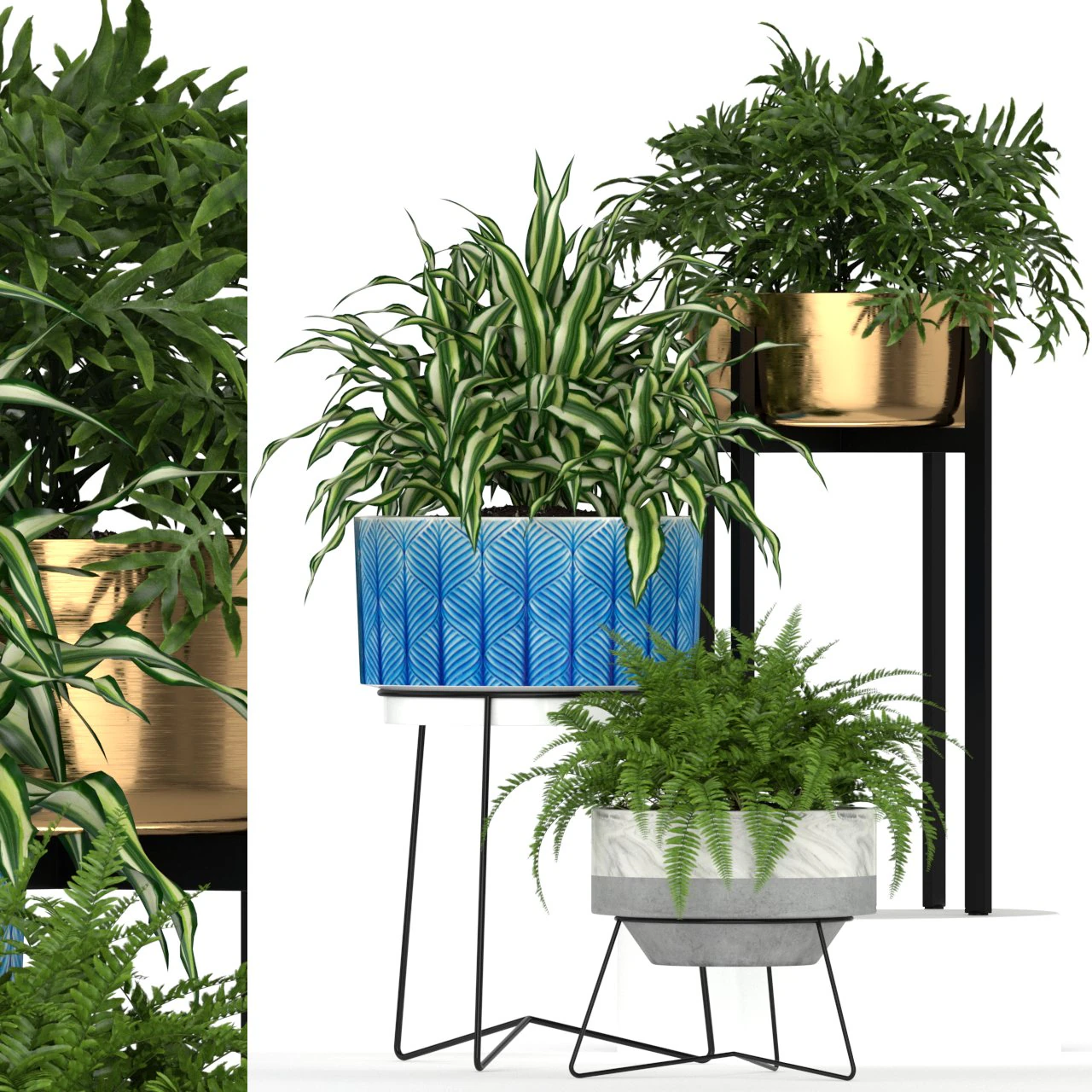 Plants collection 191 3D Model .c4d .max .obj .3ds .fbx .stl .blend 