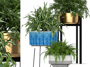 Collezione piante 191 Modello 3D