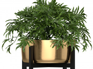 Plants collection 191 3D मॉडल