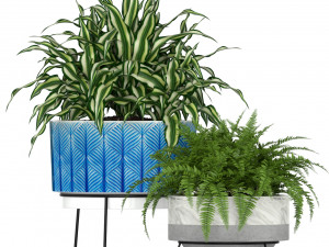 Plants collection 191 3D मॉडल