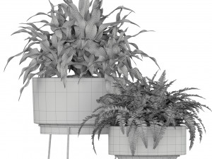 Plants collection 191 3D मॉडल