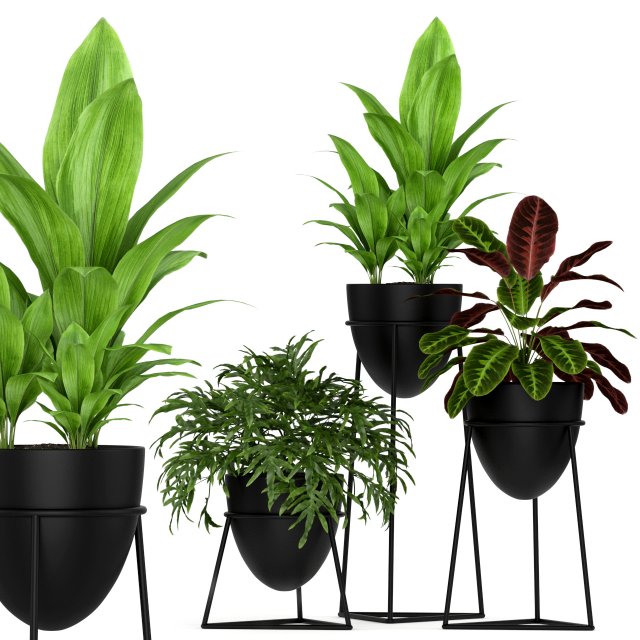 Plants collection 192 Model 3D .c4d .max .obj .3ds .fbx .stl .blend 