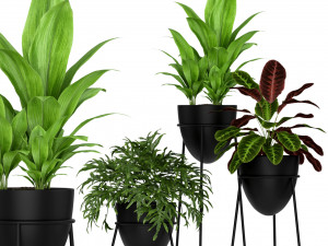 Plants collection 192 3Dモデル