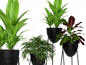 Pflanzensammlung 192 3D Modell