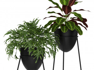 Plants collection 192 Model 3D
