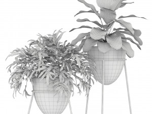 Plants collection 192 Model 3D