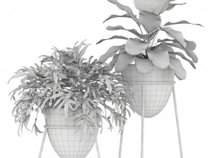 Plants collection 192 3D Model