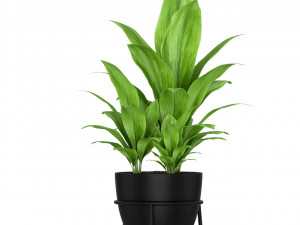 Plants collection 192 Model 3D
