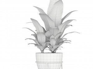 Plants collection 192 Model 3D