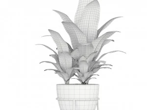 Plants collection 192 3D Model