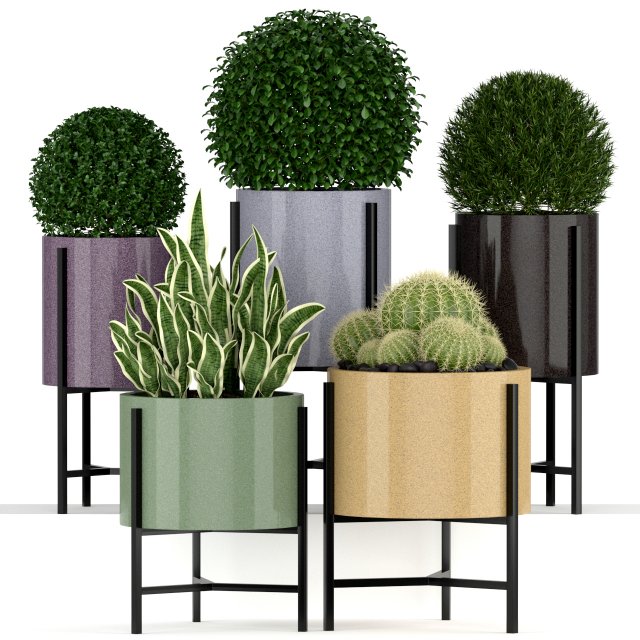 Plants collection 193 Modèle 3D .c4d .max .obj .3ds .fbx .stl .blend 
