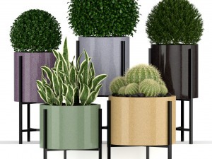 Plants collection 193 Modelo 3D