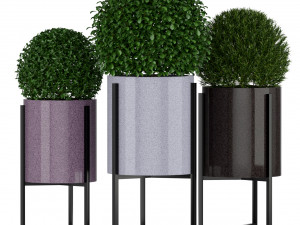 Plants collection 193 Modèle 3D