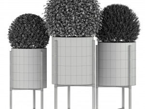 Plants collection 193 Modèle 3D